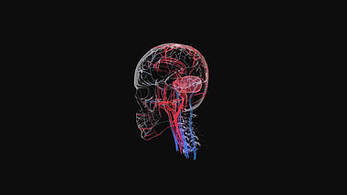 3D大脑医疗化学生物AE模板视频的预览图