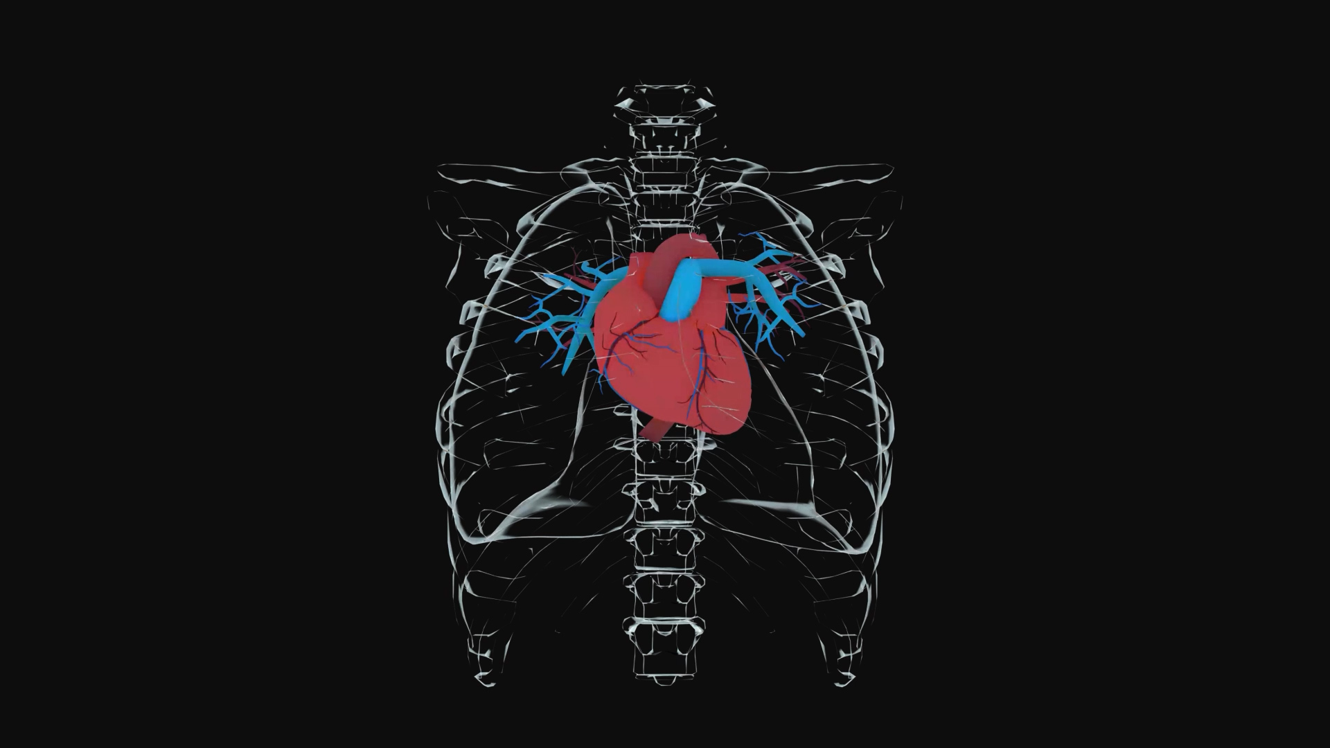 心脏3D医疗化学人体通道视频素材AE模板视频的预览图