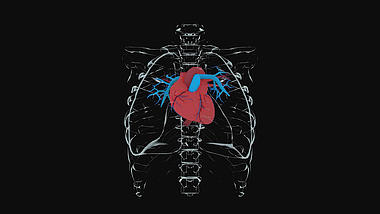 心脏3D医疗化学人体通道视频素材AE模板视频的预览图