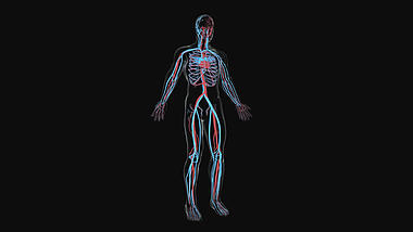 3D医疗化学人体通道视频素材AE模板视频的预览图