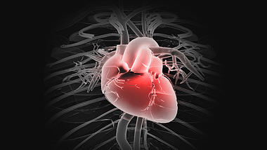 心脏3D医疗化学人体通道视频素材视频的预览图