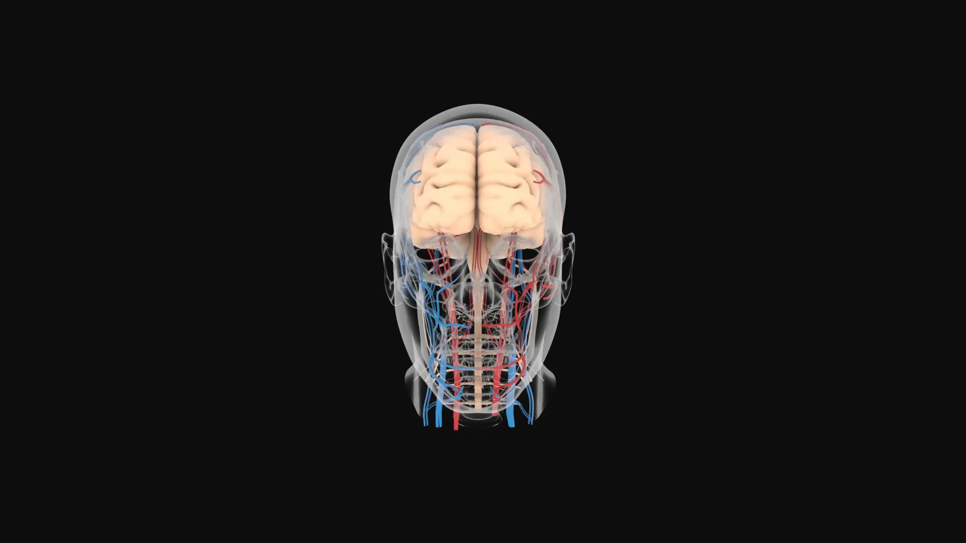 3D大脑医疗化学生物素材模板视频的预览图