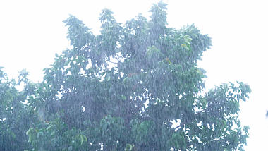 4k实拍夏季下雨暴雨风光意境视频的预览图