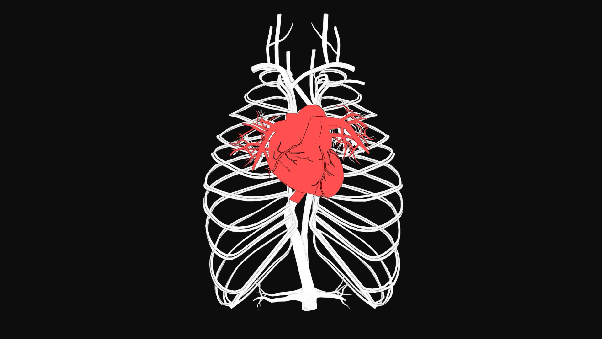3D心脏医疗化学人体通道视频素材视频的预览图