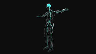 3D旋转医疗化学人体通道视频素材视频的预览图