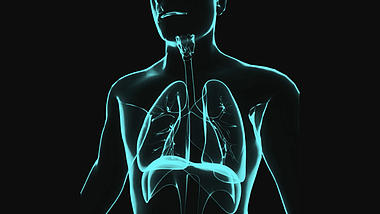 3D肺部呼吸医疗化学人体通道视频素材视频的预览图