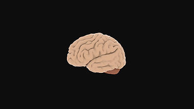 3D大脑医疗化学生物素材AE模板视频的预览图