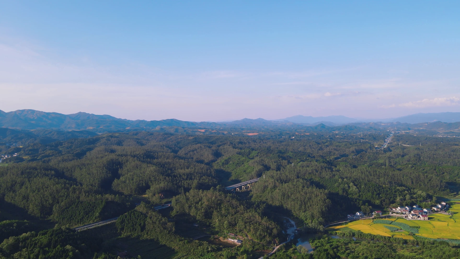 4K航拍绿色森林丘陵地貌自然风光视频的预览图