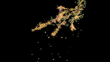 中秋节中秋桂花树飘落带通道挂件视频的预览图