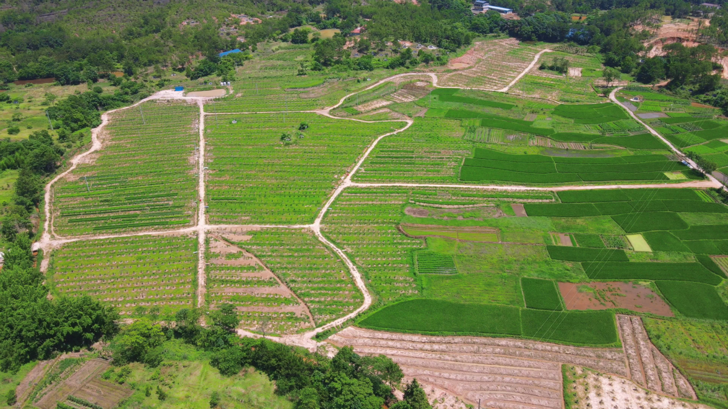 4K航拍绿色田园农业种植基地视频的预览图