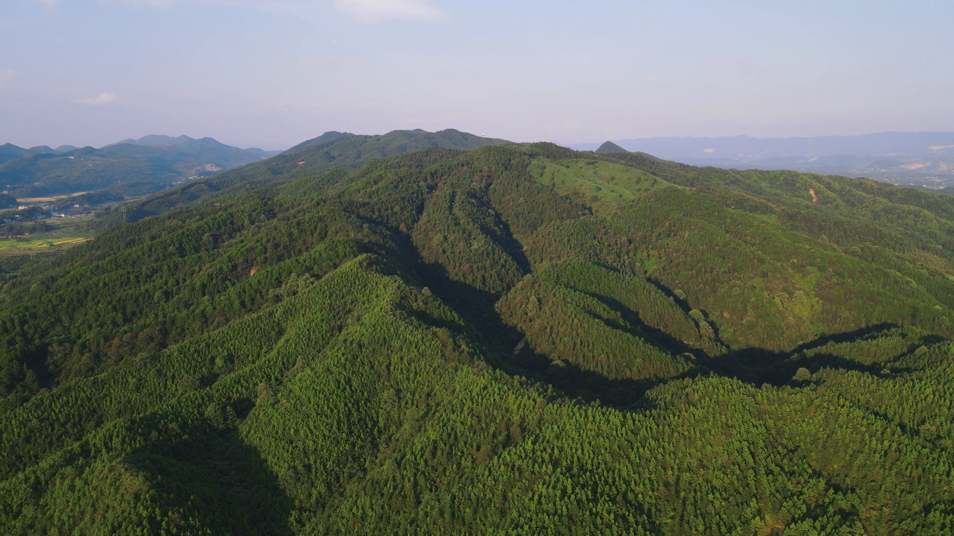 4K航拍大自然绿色森林视频的预览图