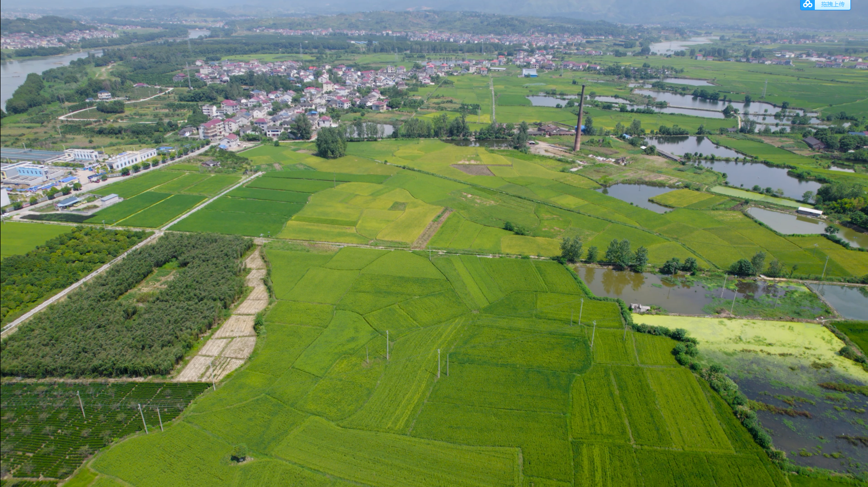 4K航拍乡村万亩稻田水稻农业经济发展视频的预览图