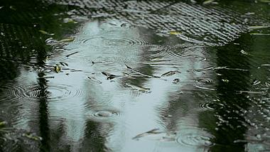 4k雨天地面上的落叶雨水水面波纹实拍视频的预览图