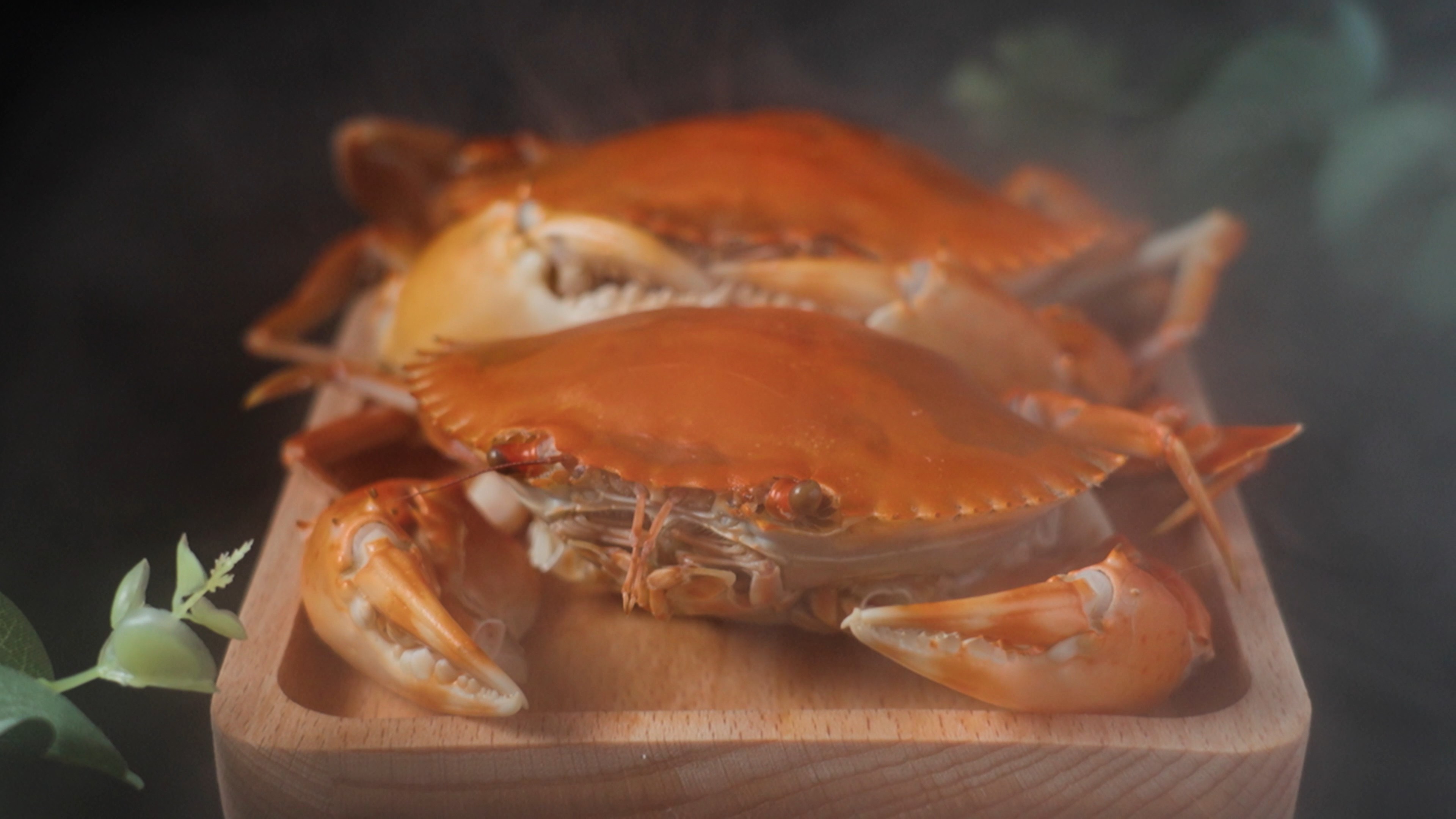 4k肥美的金黄色螃蟹肉蟹美食视频的预览图