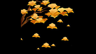 银杏叶树树枝植物落叶秋天带通道挂件视频的预览图