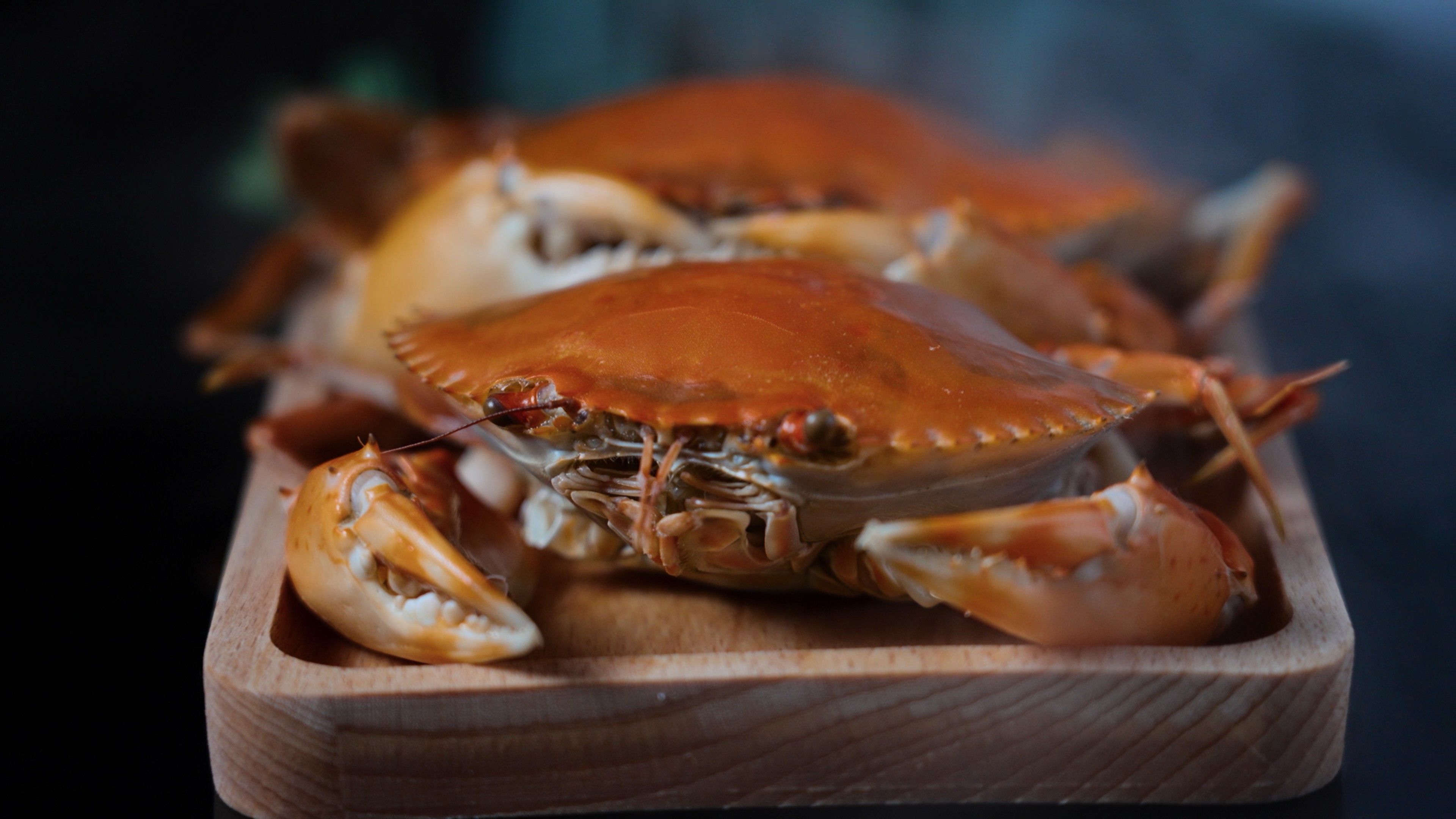 4k煮熟的大闸蟹肉蟹营养海鲜美食实拍视频的预览图