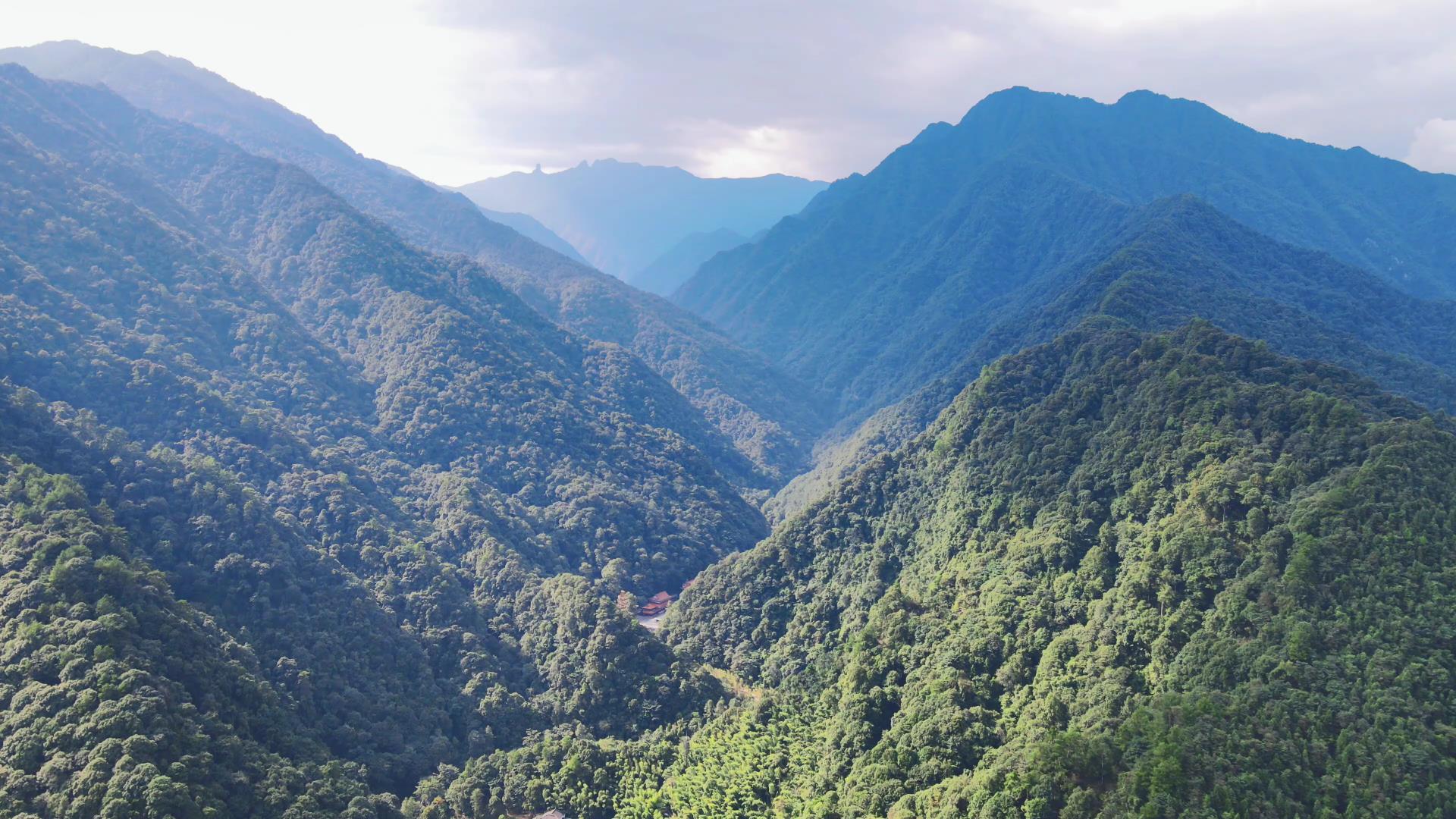4K航拍大自然绿色森林自然风光视频视频的预览图