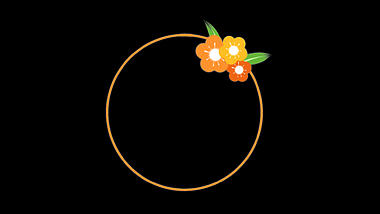 线条植物花朵圆形边框带通道视频的预览图