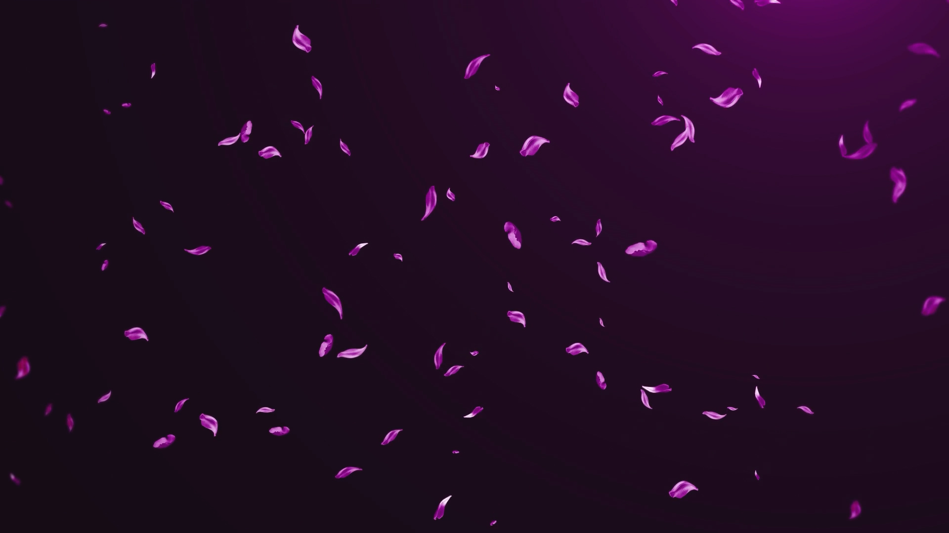 紫色花瓣通道视频素材挂件装饰漂浮素材视频的预览图
