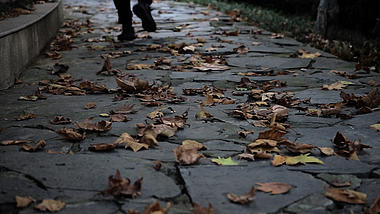 4K实拍秋天的风景落叶行人走过石板路上视频的预览图