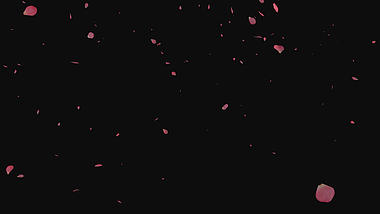 粉色花瓣飘落透明通道视频挂件视频的预览图