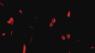 仿真花瓣红色玫瑰飘落透明通道视频挂件装饰漂浮素材视频的预览图