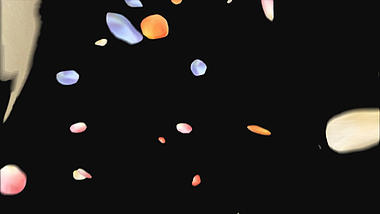 彩色花瓣飞舞通道视频挂件装饰漂浮素材视频的预览图