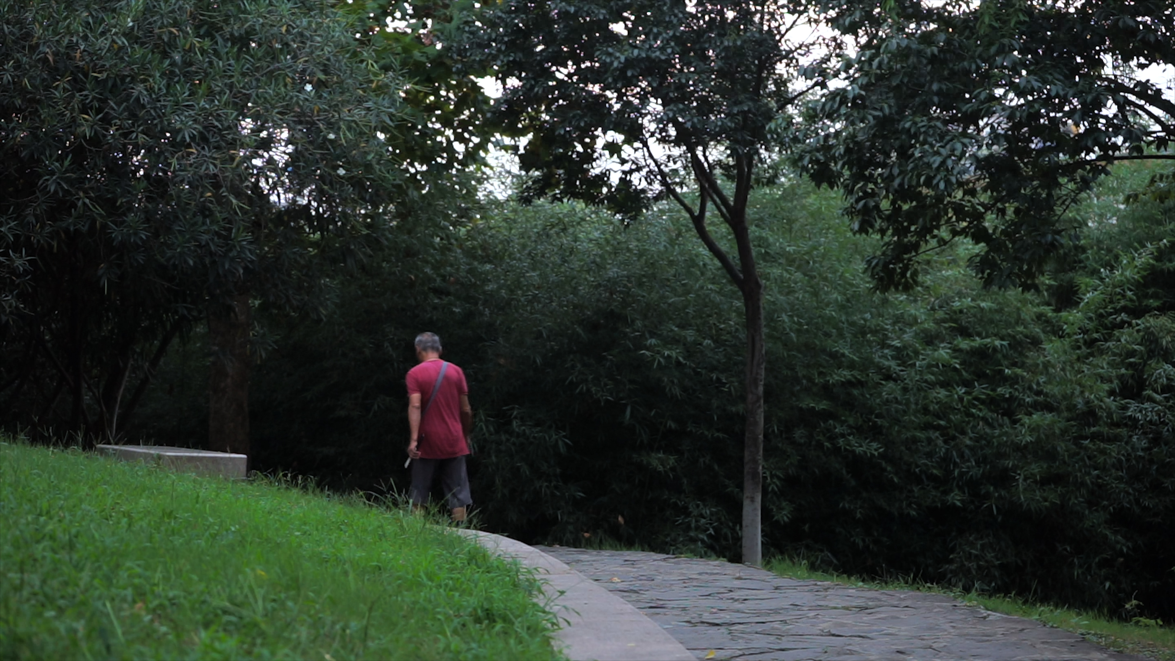 4K实拍公园老人独自慢走锻炼孤独孤单散步视频的预览图