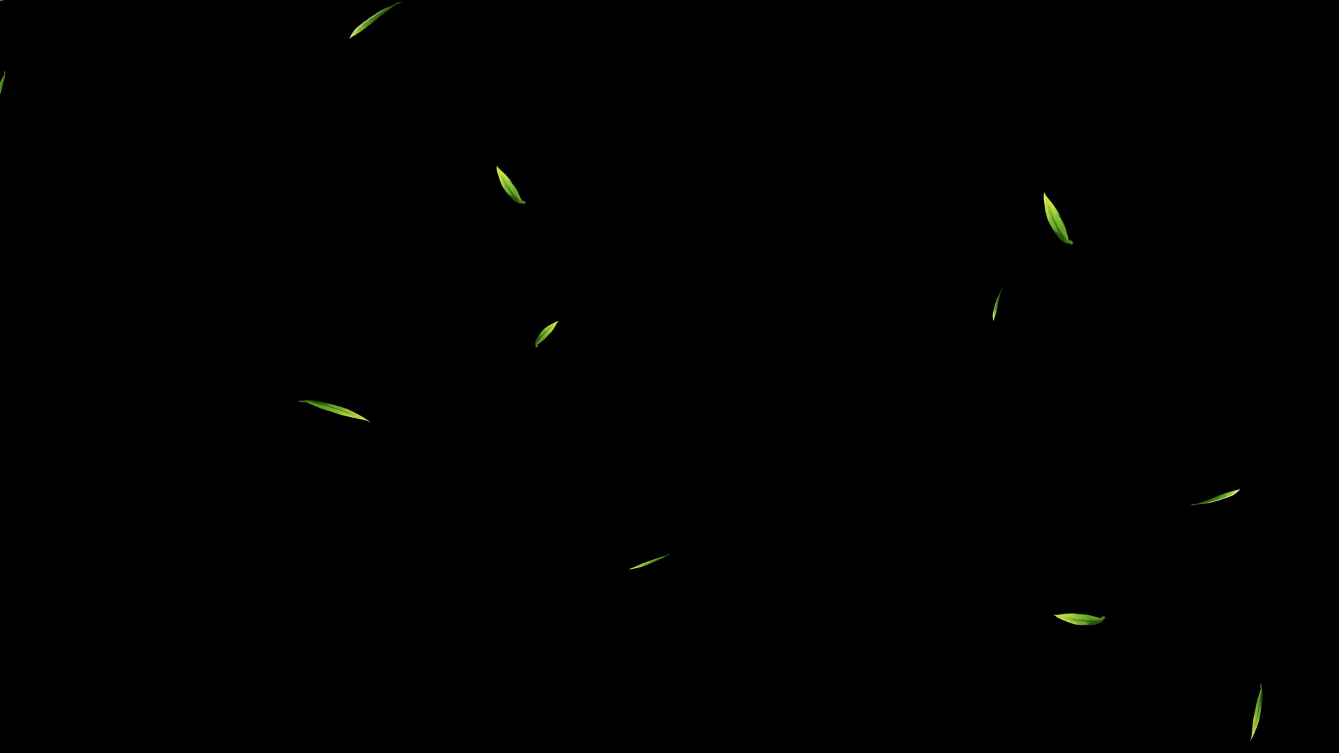 小绿树叶通道视频AE模板视频的预览图