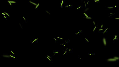 绿竹叶飘动通道视频素材AE模板视频的预览图