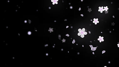 淡粉色樱花花朵素材通道视频挂件装饰漂浮素材视频的预览图