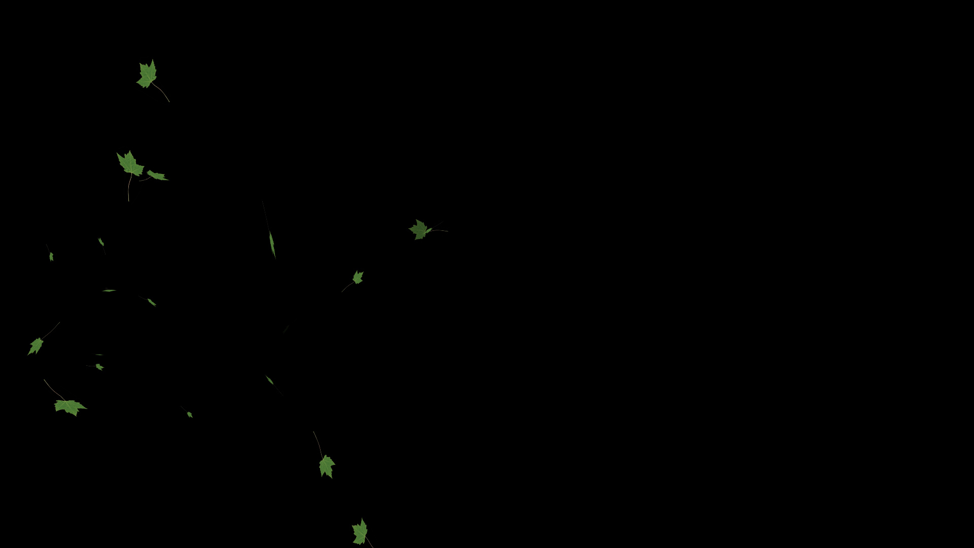 绿色枫叶飘落通道视频挂件装饰漂浮素材视频的预览图