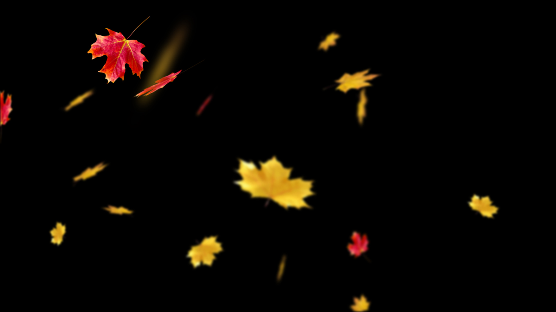 黄色红色枫叶树叶飘落通道视频挂件装饰漂浮素材视频的预览图