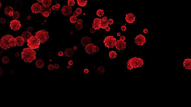 红色康乃馨花朵素材通道视频挂件装饰漂浮素材视频的预览图