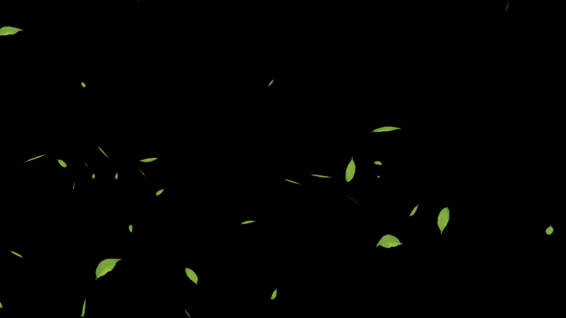 绿色树叶通道视频AE模板视频的预览图