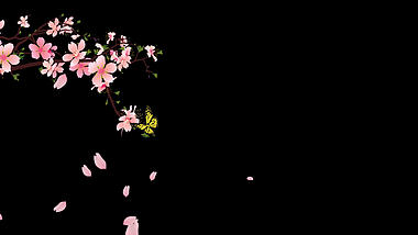 粉色花瓣花朵素材通道视频挂件装饰漂浮素材视频的预览图
