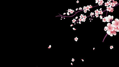 粉色桃花花朵素材通道视频挂件装饰漂浮素材视频的预览图