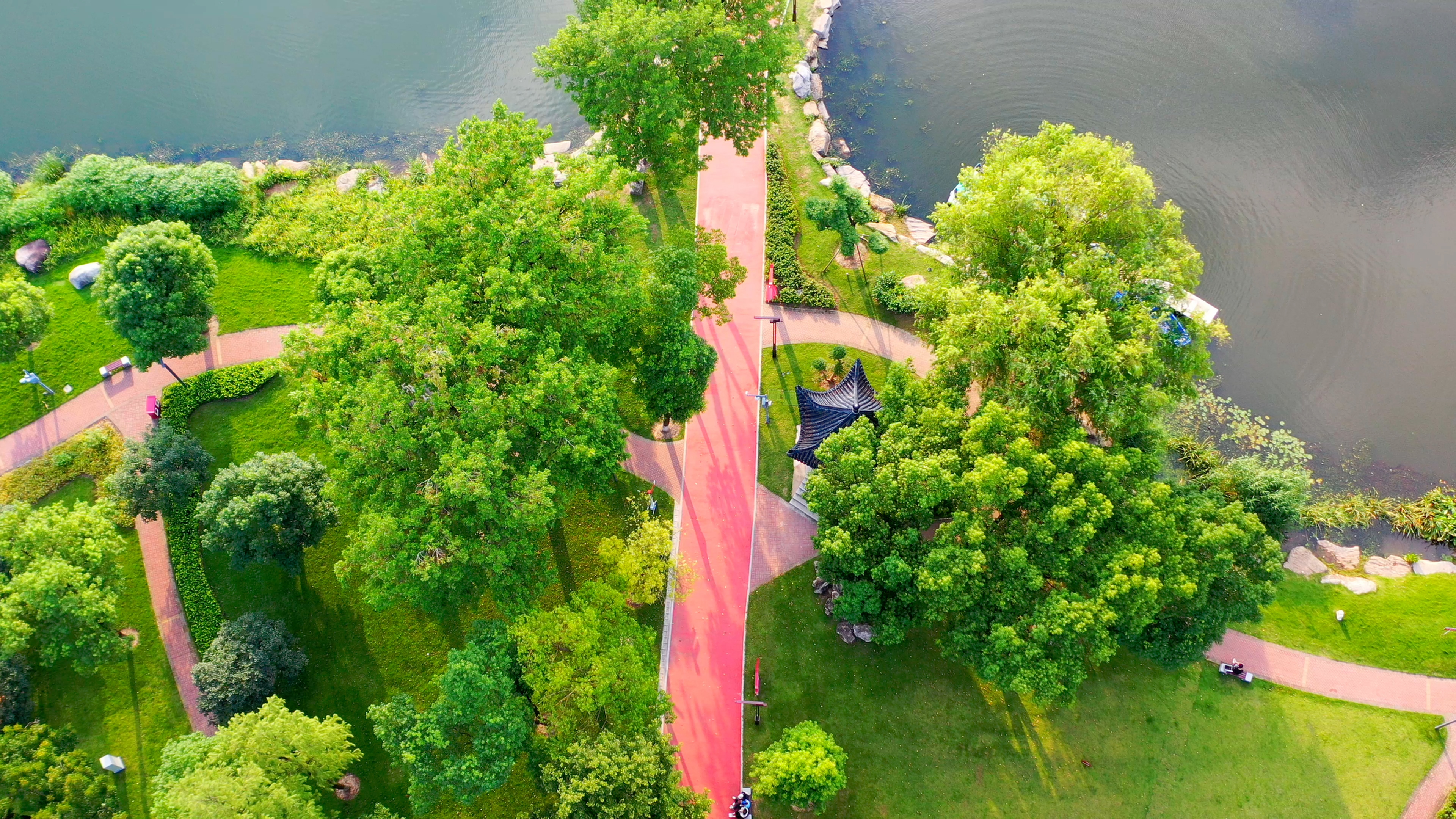 4K武汉城市现代建筑紫阳湖公园实拍视频视频的预览图