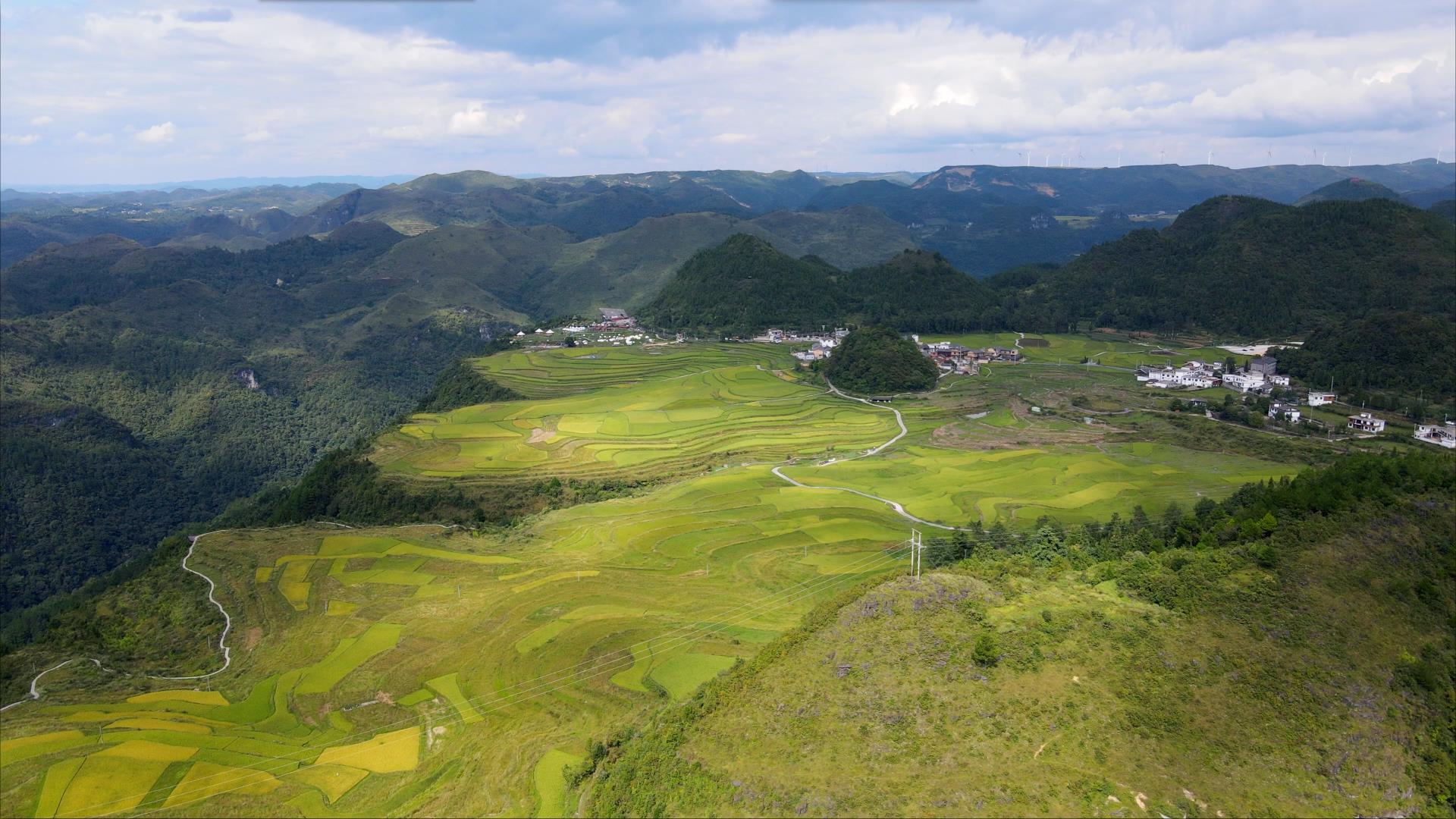 4K航拍高坡梯田自然风景稻田实拍视频的预览图
