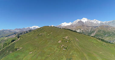 新疆高山草原雪山4K航拍视频的预览图