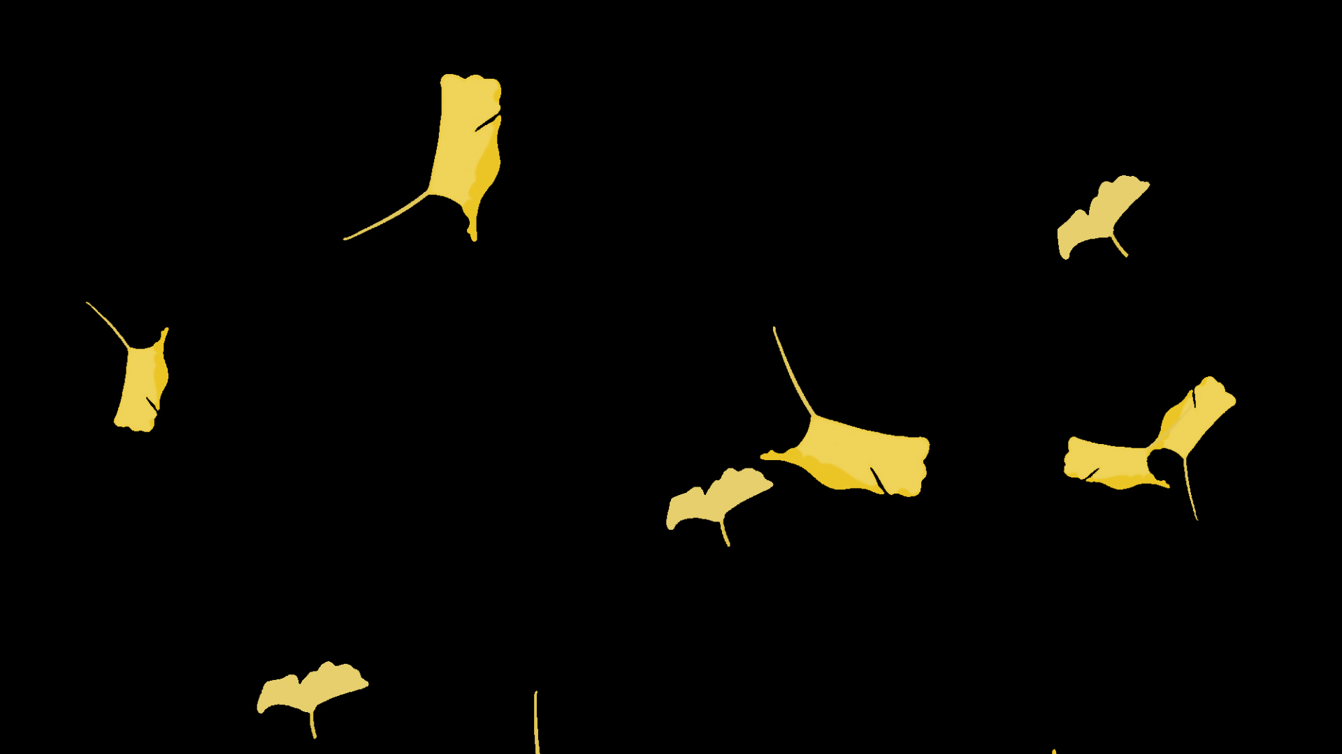 秋天银杏叶飘落漂浮装饰唯美金黄色带通道挂件素材视频的预览图