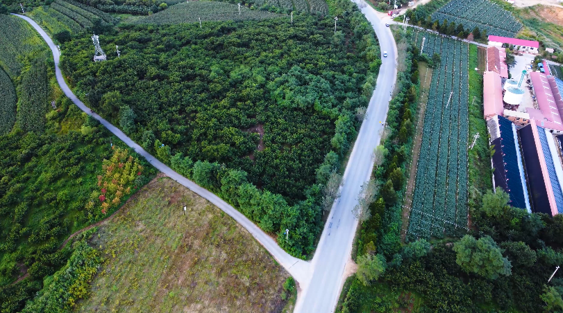 4K农村乡村道路蜿蜒唯美空镜头视频的预览图