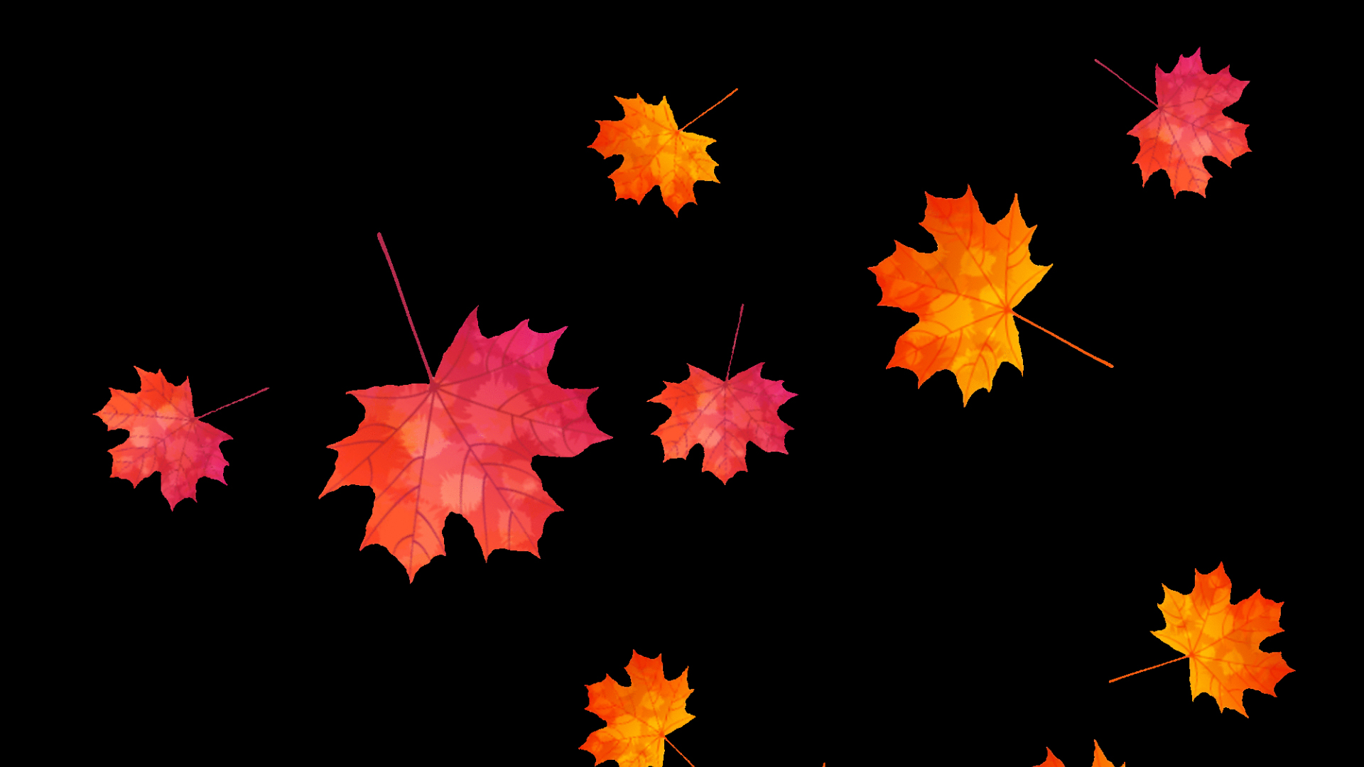 秋天枫叶落叶漂浮装饰唯美红色带通道挂件素材视频的预览图