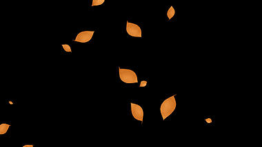 秋天秋季枯叶飘落叶子落叶带通道素材视频的预览图