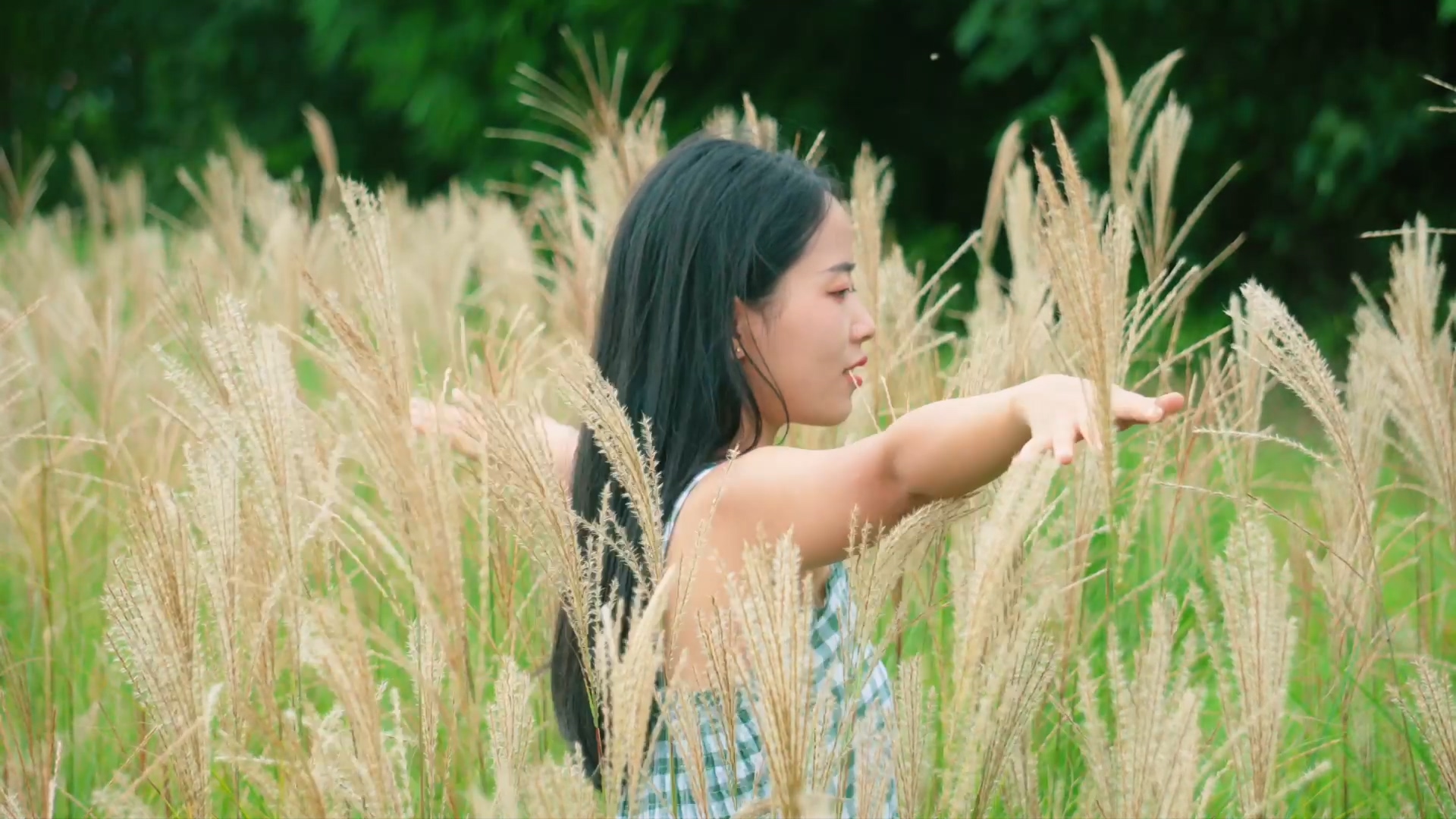 4K实拍女孩在芦苇丛中跳舞视频素材视频的预览图