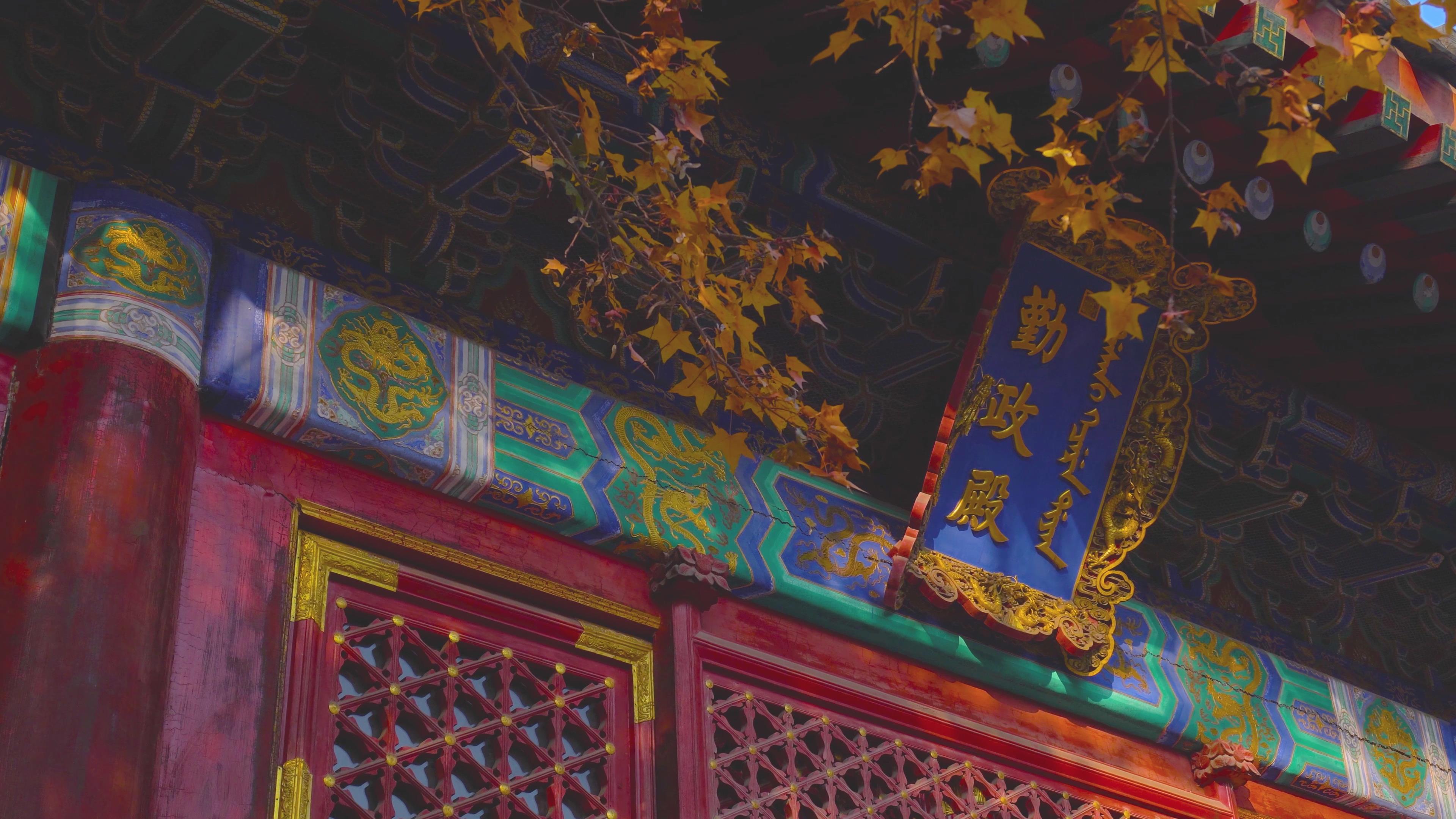 4K实拍秋天北京香山古建筑枫叶视频素材视频的预览图