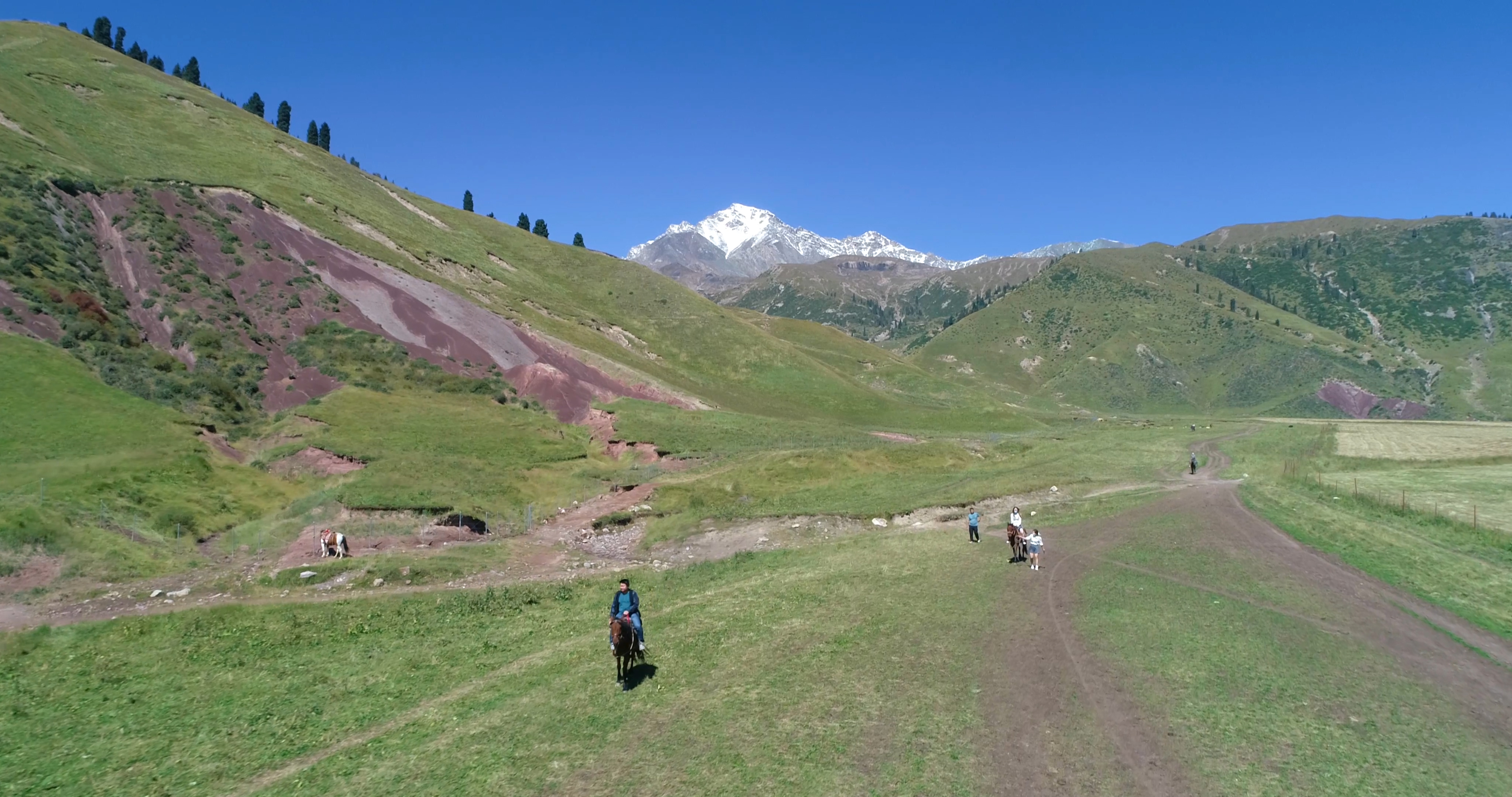 天山脚下悠闲的游客骑马4K航拍视频的预览图
