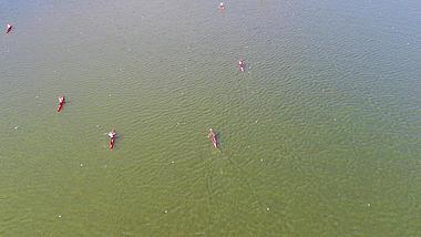 4K航拍单人划艇竞技比赛视频的预览图