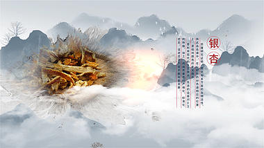 中国风水墨晕染穿梭图文展示介绍AE模版视频的预览图