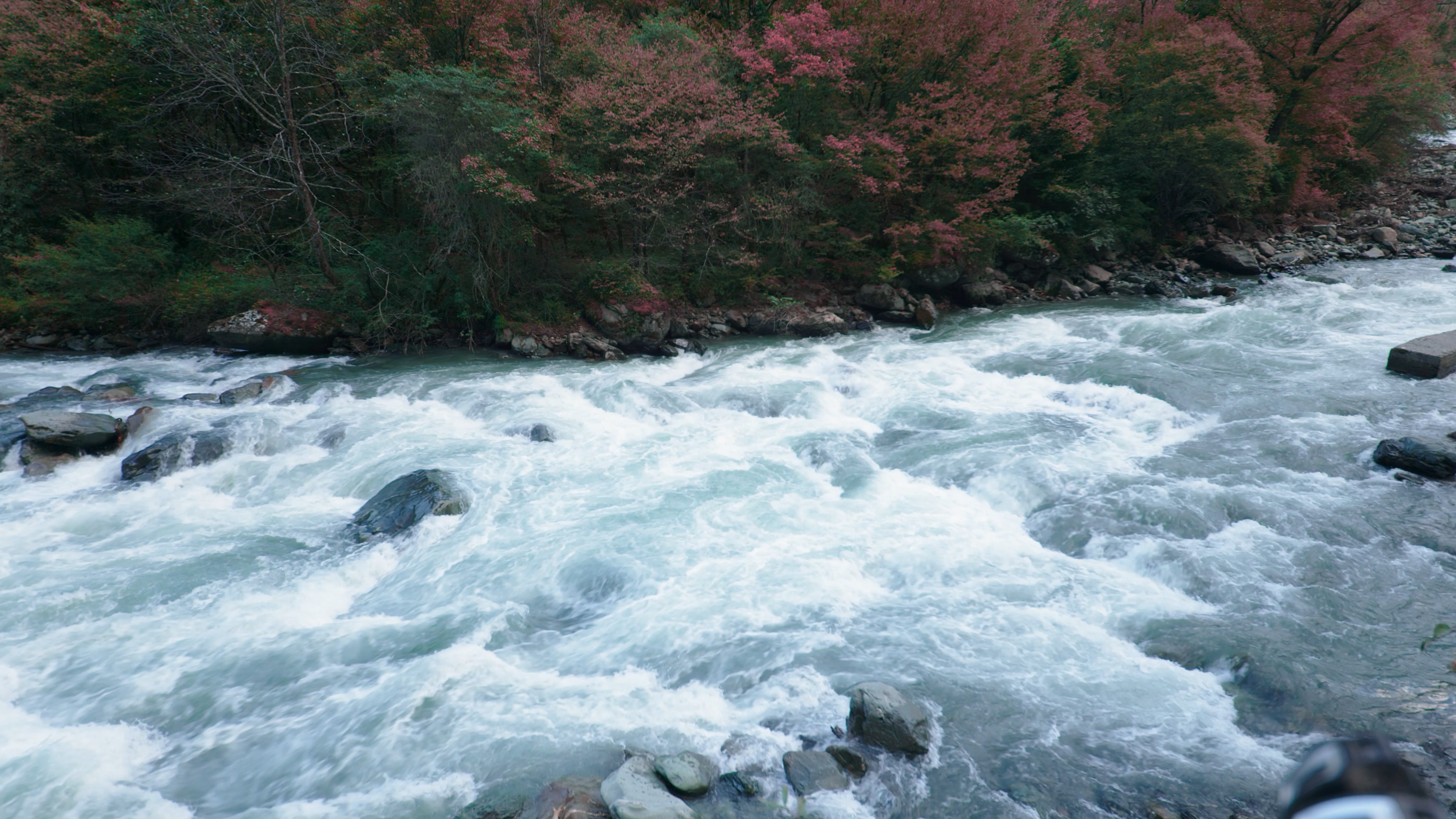 4K实拍川西秘境河流川流不息视频素材视频的预览图